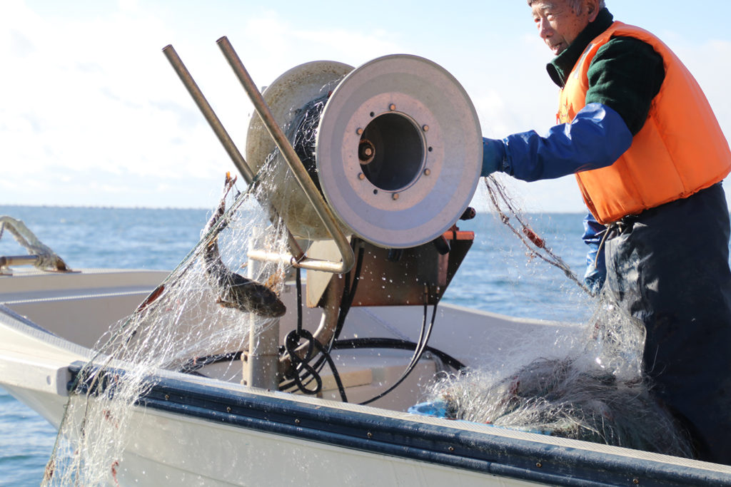 終わらない90歳の海物語 漁師 漁業 水産業の求人を探すなら トリトンジョブ