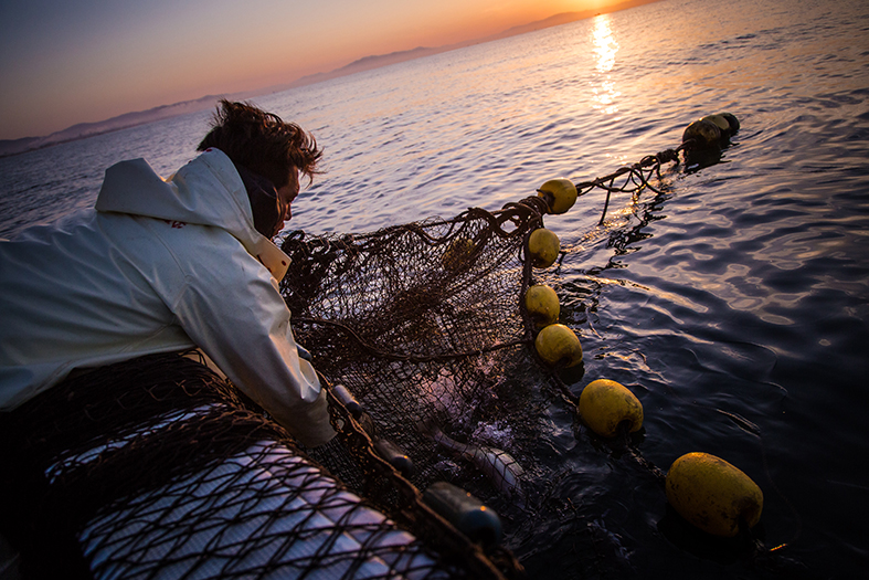 【漁師入門】漁師の仕事の種類を教えて！ | 漁師・漁業・水産業の求人を探すなら - トリトンジョブ