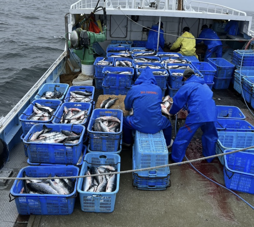 北海道／漁師／ヤマサ佐藤水産有限会社】 | 漁師・漁業・水産業の求人