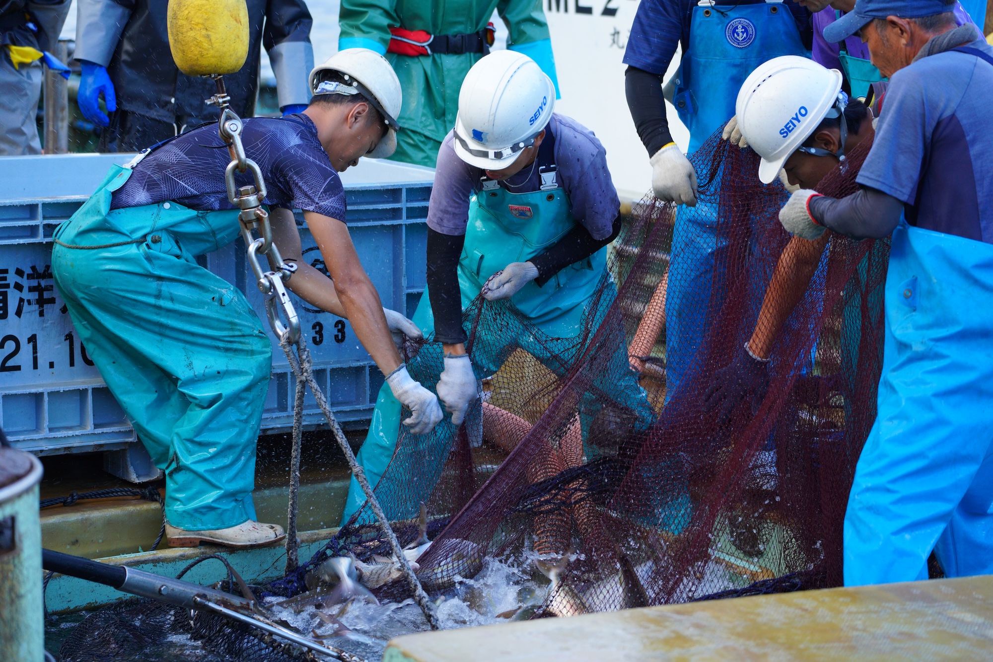 【参加費無料】2/22.23、はじめてでもOK！漁業・水産業のリアルな現場を知れる、南伊勢漁師塾 × TRITON SCHOOL-定置網編- 開催！