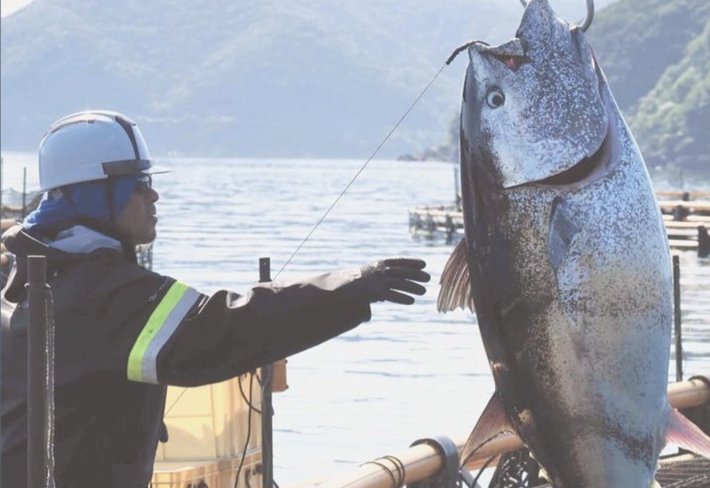 長崎県｜養殖現場スタッフ（種苗生産中心）｜大手商社のグループ会社で安心の環境で働けます【株式会社ツナドリーム五島】
