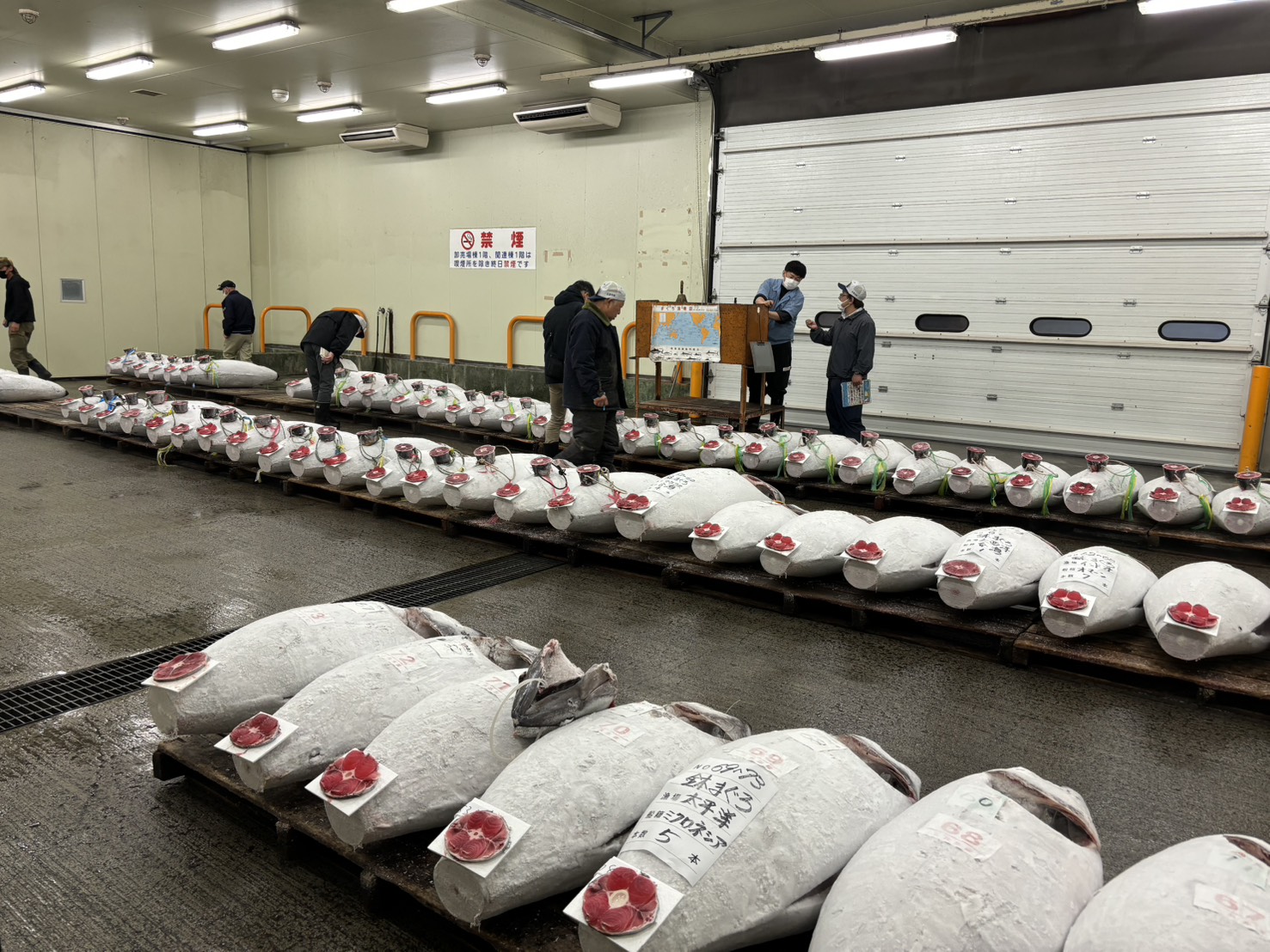 【静岡／市場職員／仲卸】魚が並ぶ前に、判断がある。 ― 静岡市中央卸売市場で、流通の一丁目一番地を支える仕事 ―