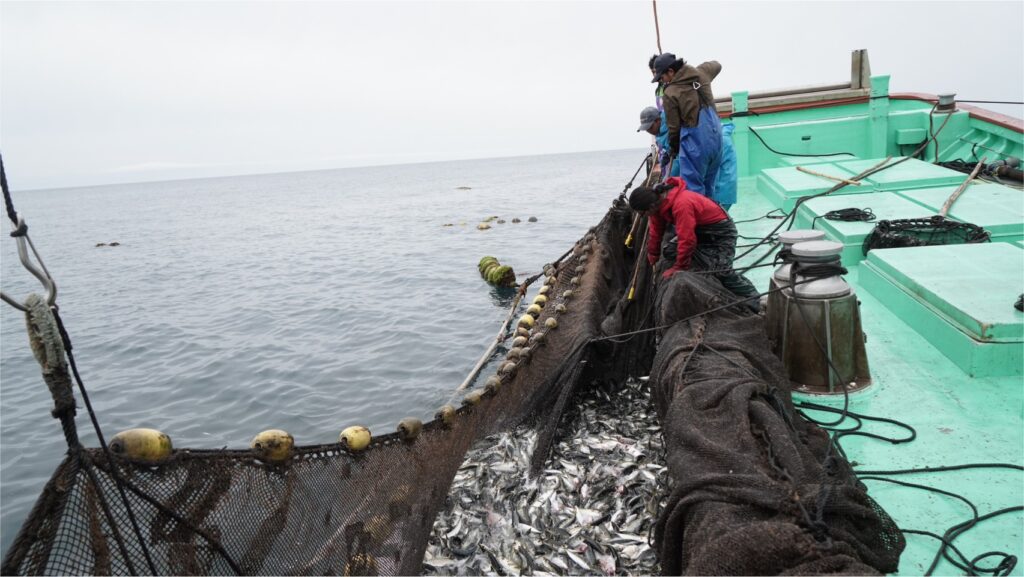 【高知県／定置網漁業／安田町大栄大敷組合】定置網漁業のオープニングスタッフ｜新しい定置網を１から作り上げるメンバーを募集します