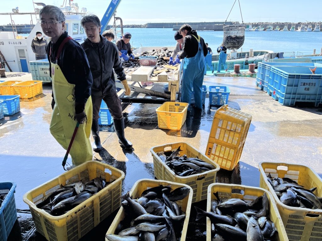 三重県｜定置網漁業｜三重県外湾漁業協同組合｜志摩市地域おこし協力隊の漁師募集！3年掛けて漁業技術を丁寧に継承します