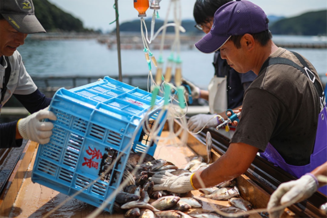 【高知県／養殖フィールドサポート／松田医薬品株式会社】年間休日120日！プライベートを両立しやすいフレックスタイム導入